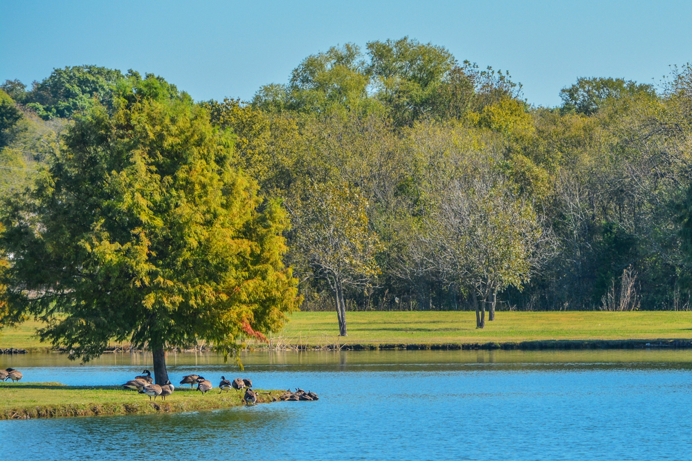 Mesquite, TX Duct Cleaning Dust Busters Duct Service Is Here